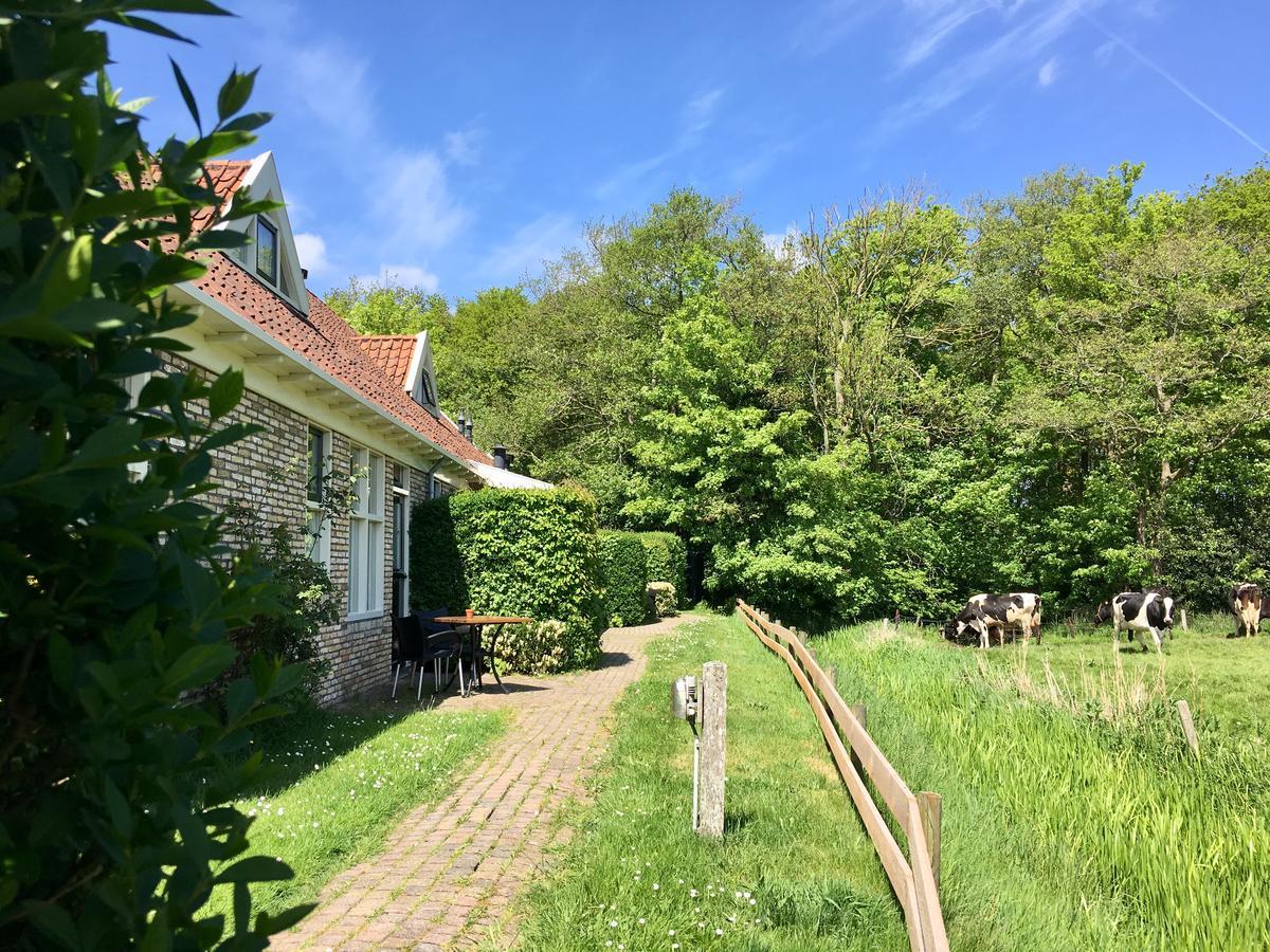 Hotel Bed & Bos De 14 Sterren Den Burg Zewnętrze zdjęcie